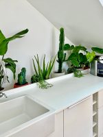 agence_hossegor_novarea_header_deco